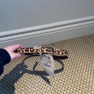 Zara Cheetah Belt